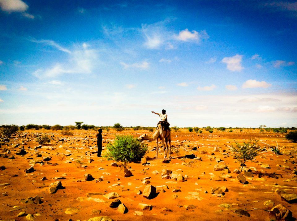 camel mauritania - Sacred Footsteps